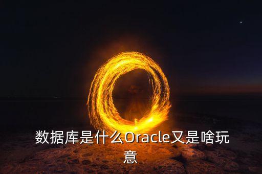  數(shù)據(jù)庫是什么Oracle又是啥玩意