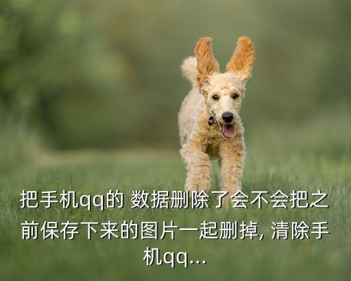 把手機(jī)qq的 數(shù)據(jù)刪除了會(huì)不會(huì)把之前保存下來的圖片一起刪掉, 清除手機(jī)qq...