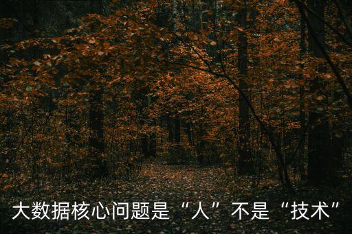 內(nèi)蒙古大數(shù)據(jù)中心主任