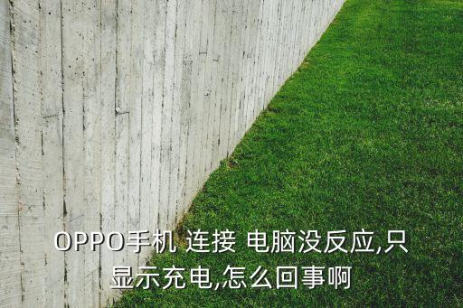OPPO手機 連接 電腦沒反應(yīng),只顯示充電,怎么回事啊
