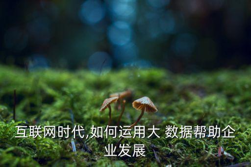 互聯(lián)網(wǎng)時代,如何運用大 數(shù)據(jù)幫助企業(yè)發(fā)展