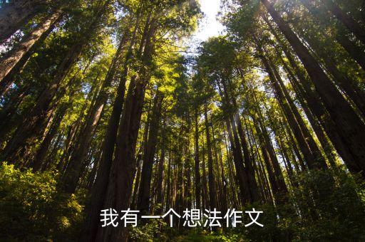 我有一個想法作文