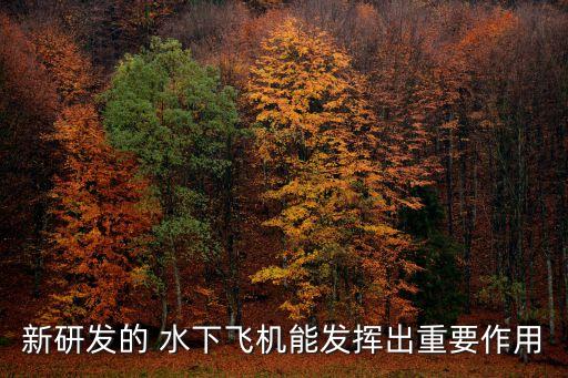 新研發(fā)的 水下飛機(jī)能發(fā)揮出重要作用