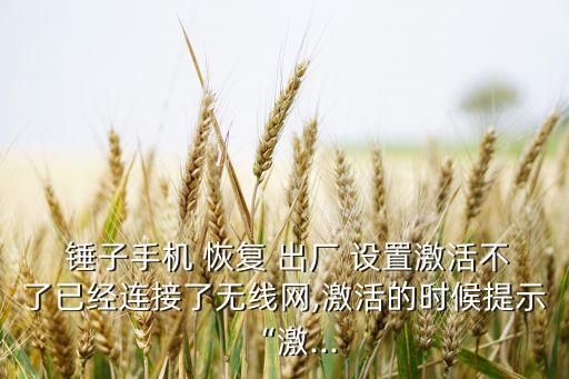  錘子手機(jī) 恢復(fù) 出廠 設(shè)置激活不了已經(jīng)連接了無線網(wǎng),激活的時(shí)候提示“激...