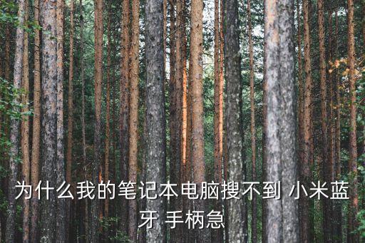 為什么我的筆記本電腦搜不到 小米藍牙 手柄急