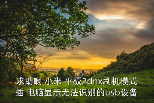 求助啊 小米 平板2dnx刷機(jī)模式插 電腦顯示無法識別的usb設(shè)備