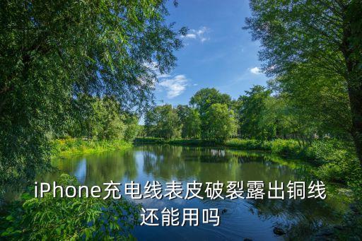 蘋果數(shù)據(jù)線 透光