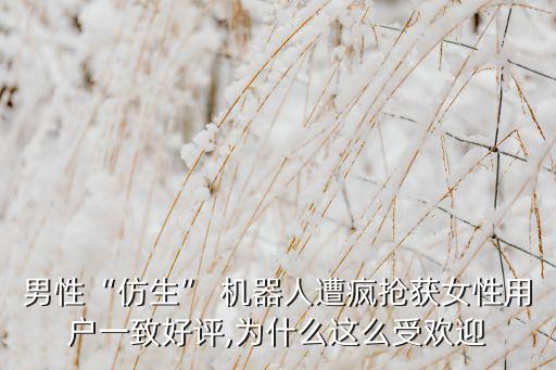 男性“仿生” 機器人遭瘋搶獲女性用戶一致好評,為什么這么受歡迎