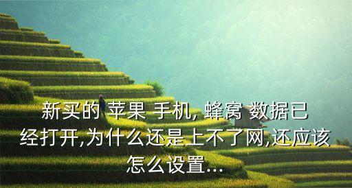 新買的 蘋果 手機, 蜂窩 數(shù)據(jù)已經(jīng)打開,為什么還是上不了網(wǎng),還應(yīng)該怎么設(shè)置...