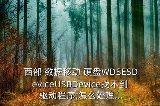  西部 數(shù)據(jù)移動 硬盤WDSESDeviceUSBDevice找不到 驅(qū)動程序,怎么處理...