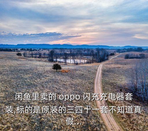 閑魚里賣的 oppo 閃充充電器套裝,標的是原裝的三四十一套不知道真假...