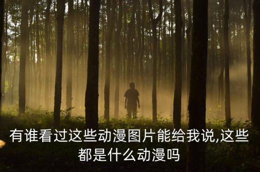 有誰看過這些動(dòng)漫圖片能給我說,這些都是什么動(dòng)漫嗎
