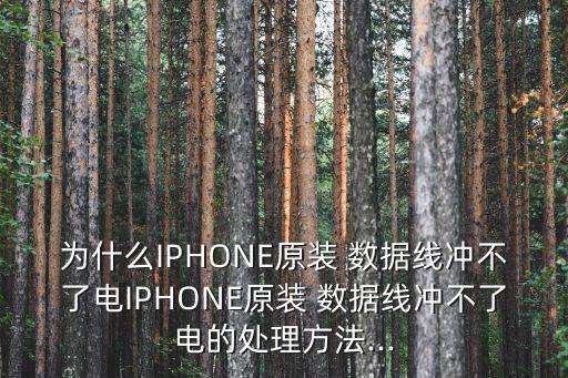 便宜蘋果數(shù)據(jù)線不能用,便宜的蘋果數(shù)據(jù)線對手機有影響嗎