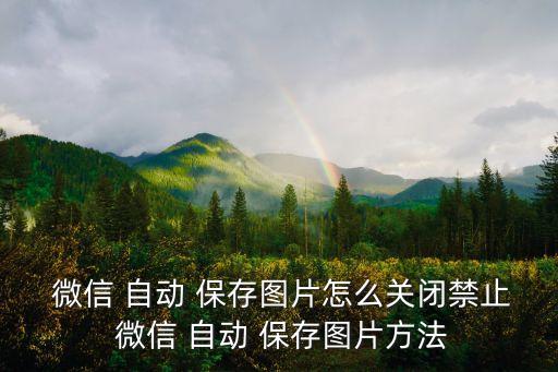  微信 自動(dòng) 保存圖片怎么關(guān)閉禁止 微信 自動(dòng) 保存圖片方法
