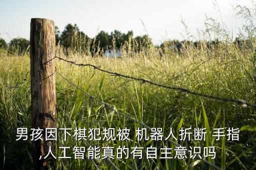 男孩因下棋犯規(guī)被 機(jī)器人折斷 手指,人工智能真的有自主意識(shí)嗎