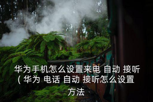 華為耳機(jī)自動接聽電話,華為手機(jī)如何設(shè)置來電自動接聽