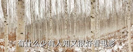 有什么少有人知又很好看電影