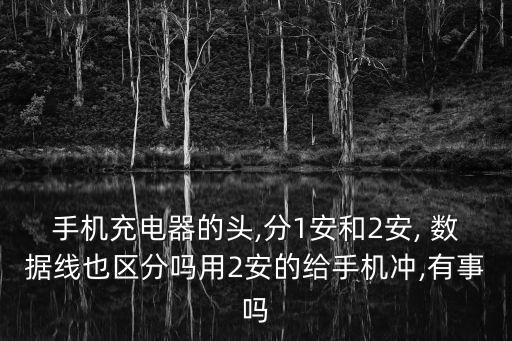 手機充電器的頭,分1安和2安, 數(shù)據(jù)線也區(qū)分嗎用2安的給手機沖,有事嗎