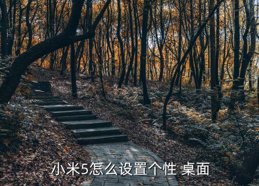  小米5怎么設(shè)置個性 桌面