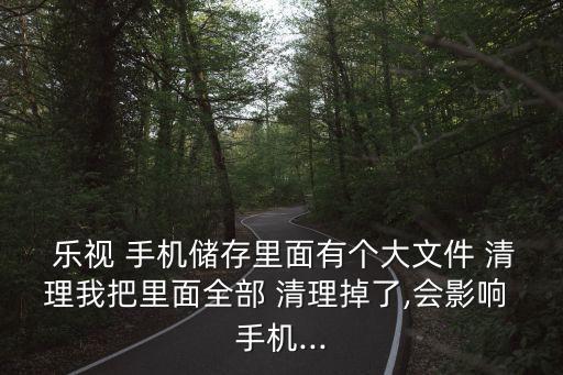  樂視 手機儲存里面有個大文件 清理我把里面全部 清理掉了,會影響 手機...