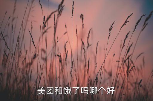 美團(tuán)和餓了嗎哪個(gè)好