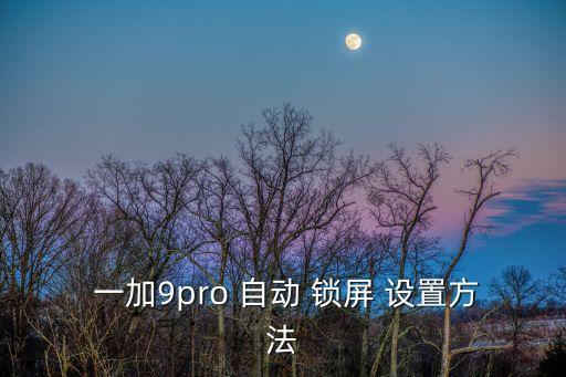  一加9pro 自動(dòng) 鎖屏 設(shè)置方法