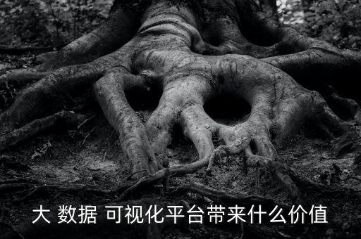 大 數(shù)據(jù) 可視化平臺帶來什么價值