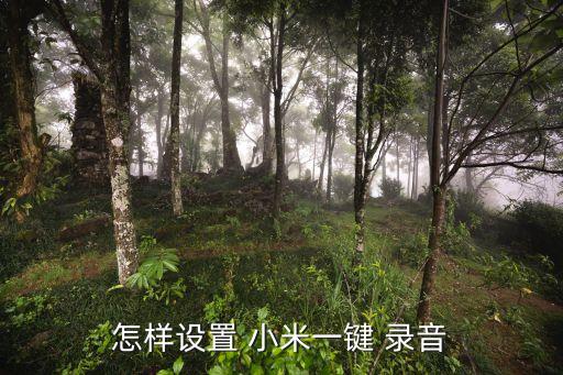 小米6自動(dòng)通話錄音,如何設(shè)置小米note自動(dòng)錄音?