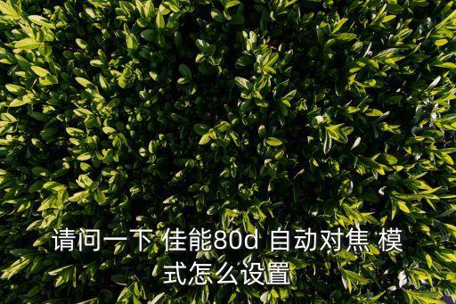 請問一下 佳能80d 自動對焦 模式怎么設(shè)置