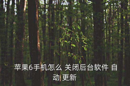  蘋果6手機(jī)怎么 關(guān)閉后臺軟件 自動(dòng) 更新