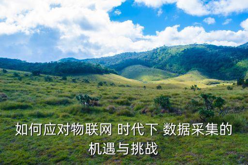 大數(shù)據(jù)時代的應對方式,應對大數(shù)據(jù)時代的基本能力包含