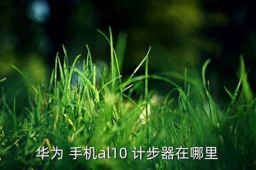 華為 手機al10 計步器在哪里
