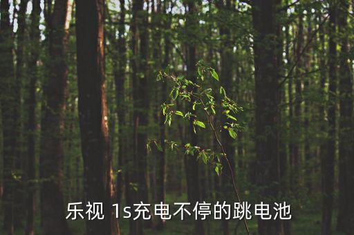 樂視1s會(huì)自動(dòng)斷電嗎,電池沒電怎么辦?手機(jī)充電器怎么做?