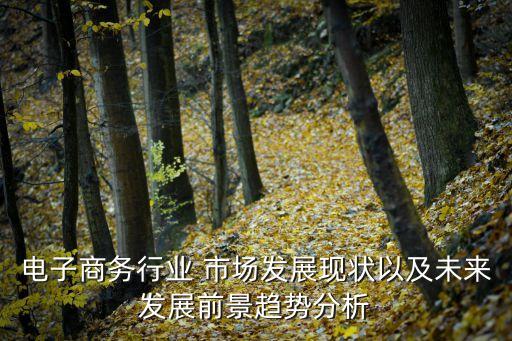 電子商務行業(yè) 市場發(fā)展現(xiàn)狀以及未來發(fā)展前景趨勢分析