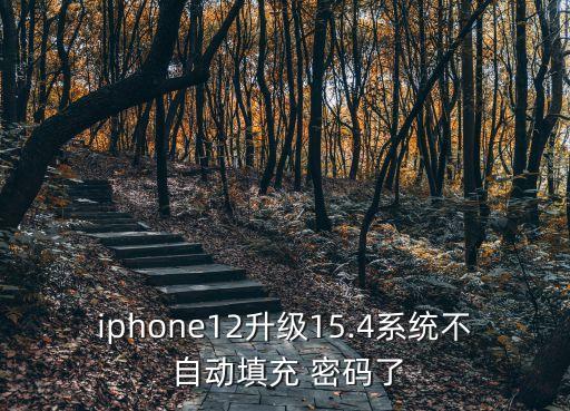 iphone12升級(jí)15.4系統(tǒng)不 自動(dòng)填充 密碼了