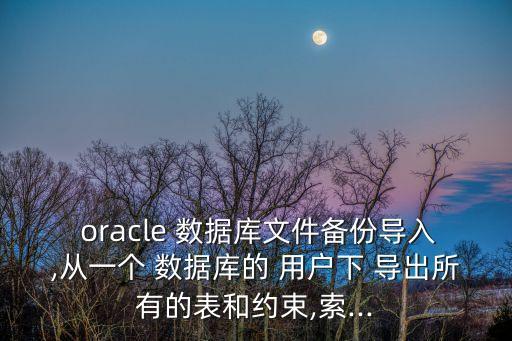  oracle 數(shù)據(jù)庫文件備份導(dǎo)入,從一個(gè) 數(shù)據(jù)庫的 用戶下 導(dǎo)出所有的表和約束,索...
