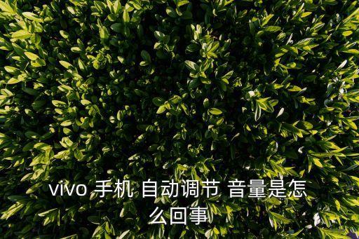 vivo 手機(jī) 自動(dòng)調(diào)節(jié) 音量是怎么回事