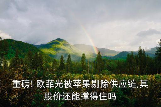 歐菲光經(jīng)營(yíng)數(shù)據(jù)
