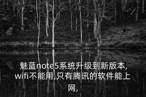  魅藍note5系統(tǒng)升級到新版本,wifi不能用,只有騰訊的軟件能上網(wǎng),