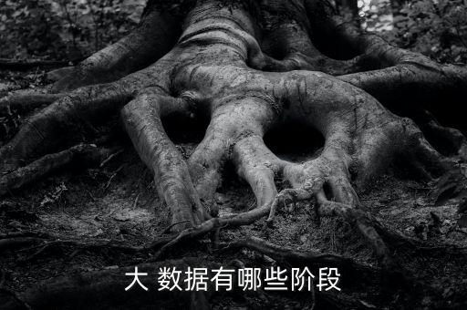 大數(shù)據(jù)的應(yīng)用過程