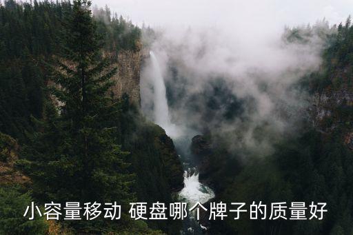 小容量移動 硬盤哪個牌子的質量好