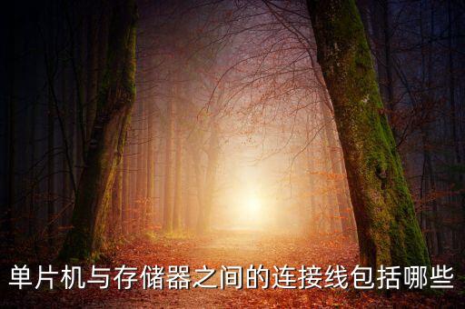 zus數(shù)據(jù)線,type—c數(shù)據(jù)線
