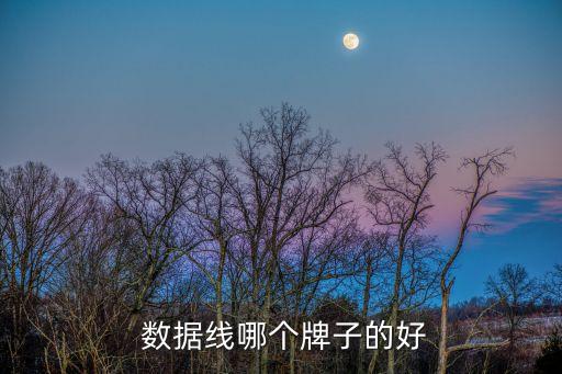 手機數(shù)據(jù)哪家強,手機瀏覽器哪家強