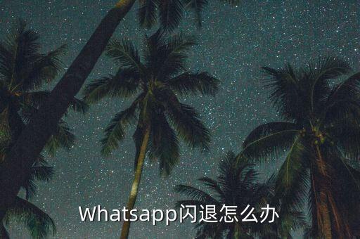 whatsapp自動(dòng)更新,如何下載更新whatsapp?