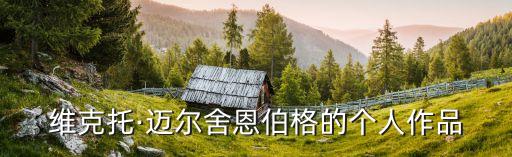 維克托·邁爾舍恩伯格的個(gè)人作品