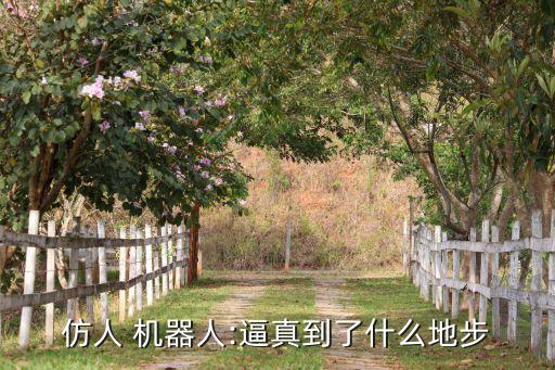 仿人 機(jī)器人:逼真到了什么地步