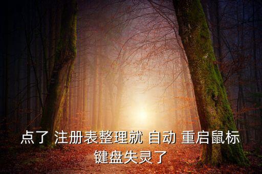 點(diǎn)了 注冊(cè)表整理就 自動(dòng) 重啟鼠標(biāo)鍵盤失靈了