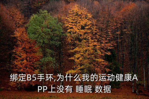 華為手環(huán)測(cè)睡眠無(wú)數(shù)據(jù)