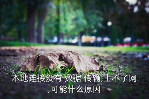 本地連接沒有 數(shù)據(jù) 傳輸,上不了網(wǎng),可能什么原因