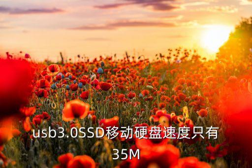 usb3.0SSD移動硬盤速度只有35M